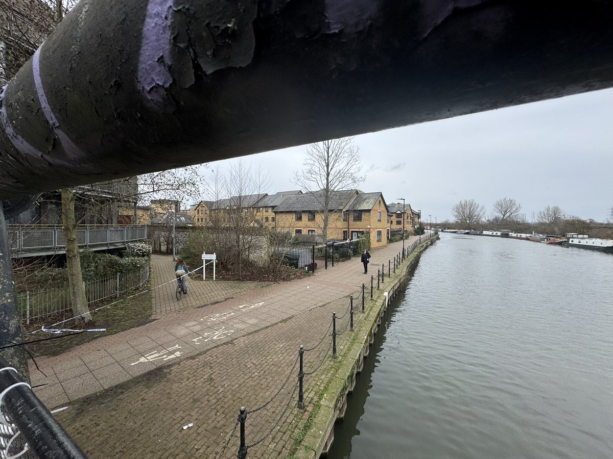 Jacob Dylan Jarvis tweet media