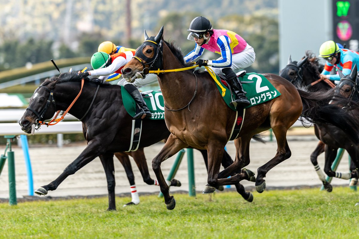 NavierStoke0718's tweet image. 🥇ロングラン x 丹内祐次🏆
セルバーグの大逃げを直線一気の末脚で差し切り勝ち🐎
丹内祐次騎手はこのフユコク2重賞を完全ジャック!!!
#小倉大賞典
#小倉大賞典
2025.2.23