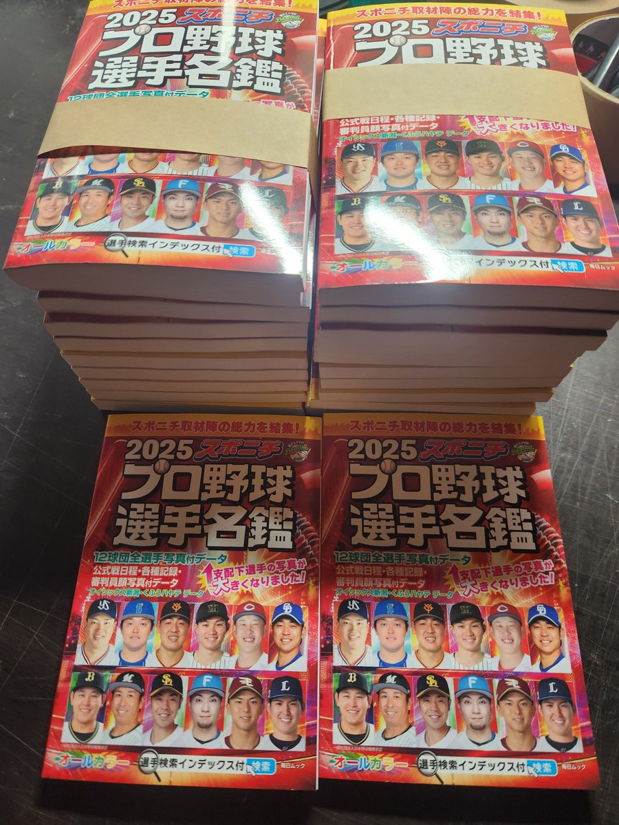 スポニチプロ野球選手名鑑 2025　　ポケットサイズ　オールカラー　12球団 2025プロ野球全選手カラー写真名鑑&パーフェクトDATA BOOK(B.B.