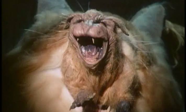 『異形生命体ファング』
遺伝子研究所から脱走した化猫の恐怖を描くもふもふホラー。

口内からミニ猫(毒属性)が飛び出す愛らしさとおぞましさが同居した新感覚のモンスターデザインがとても良かった。

真面目なホラー路線で物語は展開するが、可愛らしさ故の弊害により怖くはない。
あと猫吸いたい。