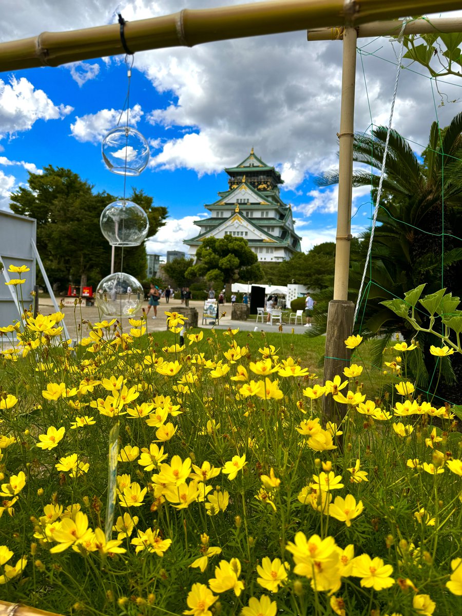 一定會有你想要的結果