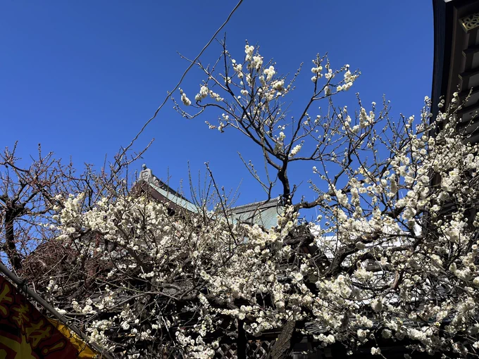 お参りに行ってきました。 天気良くてとても良かったです 飴細工可愛い 小鉢よく見ると…wお店の人に言ったら、交換してもらえました