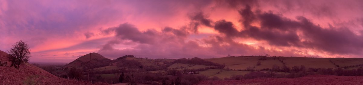 Steven Keating tweet media