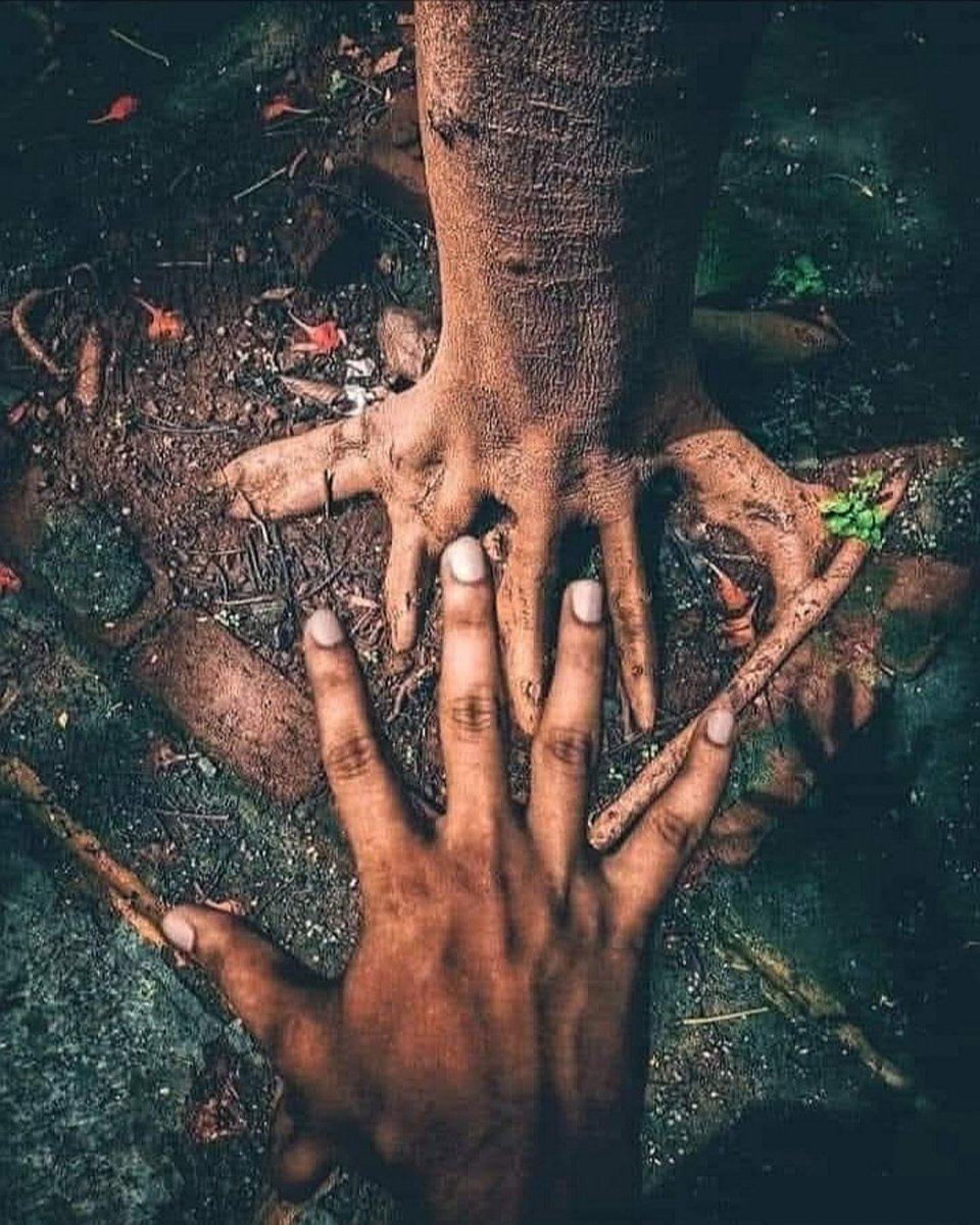 À l'école, ils ne t'ont pas parlé... 

De la lune et de ses phases. 
De la terre et de ses cycles. 
Ils ne t'ont pas parlé de la mort en tant que naissance. 
Ils ne t'ont pas parlé de la sexualité comme étant sacrée.
Ils ne t'ont pas parlé du corps en tant que temple émotionnel.