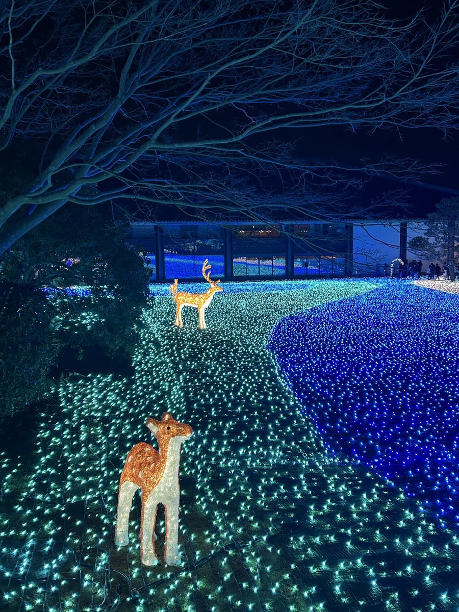 綺麗ですた＊*...   °　　✽

             •                               ★ .                     ·

          ✧

                                     ☆ .                                          ·

              .　 ☆　∗                                           .☆