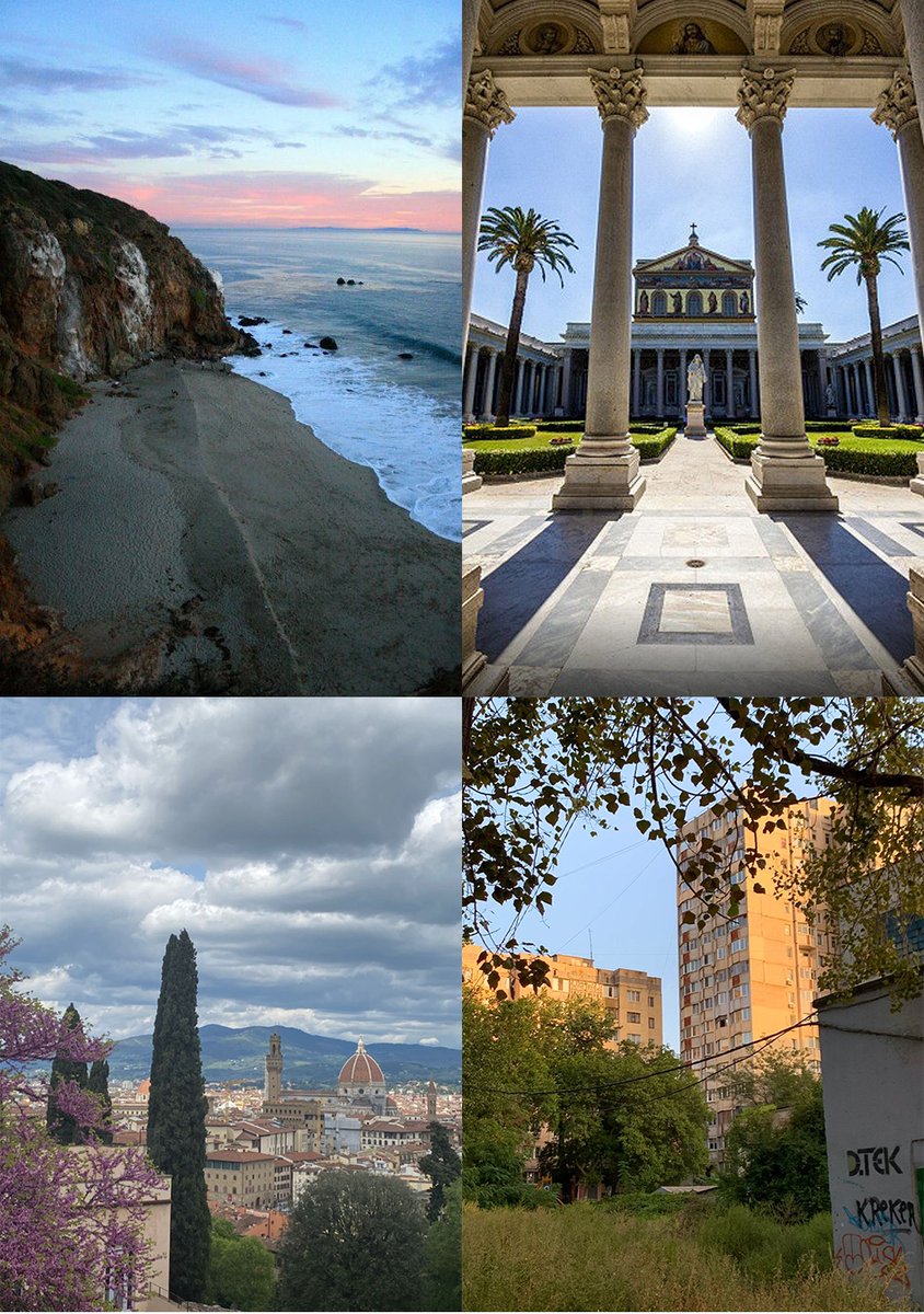 caisimingart's tweet image. 