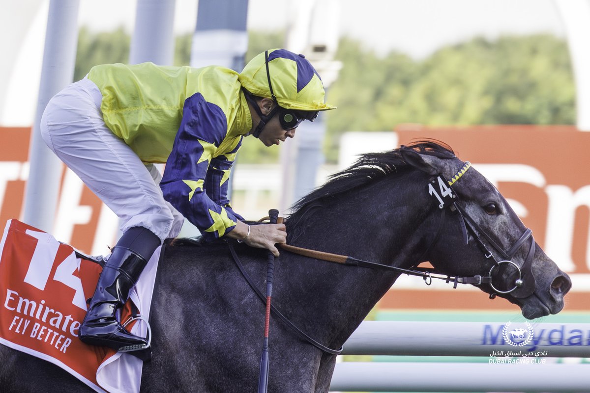 Dubai Racing Club (@racingdubai) on Twitter photo Welcome, three new Brits! 🇬🇧
✨ Frost At Dawn (below) - <a href="/WKnightRacing/">William Knight Racing</a>
✨ Kylian - <a href="/Archie_Watson/">Archie Watson Racing</a>
✨ Highway Robber - <a href="/cbhills/">Charlie Hills</a>
All are targeting races on #EmiratesSuperSaturday, 1 March.
#DubaiCarnival | <a href="/GBRI_UK/">GBRI</a> Welcome, three new Brits! 🇬🇧
✨ Frost At Dawn (below) - <a href="/WKnightRacing/">William Knight Racing</a>
✨ Kylian - <a href="/Archie_Watson/">Archie Watson Racing</a>
✨ Highway Robber - <a href="/cbhills/">Charlie Hills</a>
All are targeting races on #EmiratesSuperSaturday, 1 March.
#DubaiCarnival | <a href="/GBRI_UK/">GBRI</a>