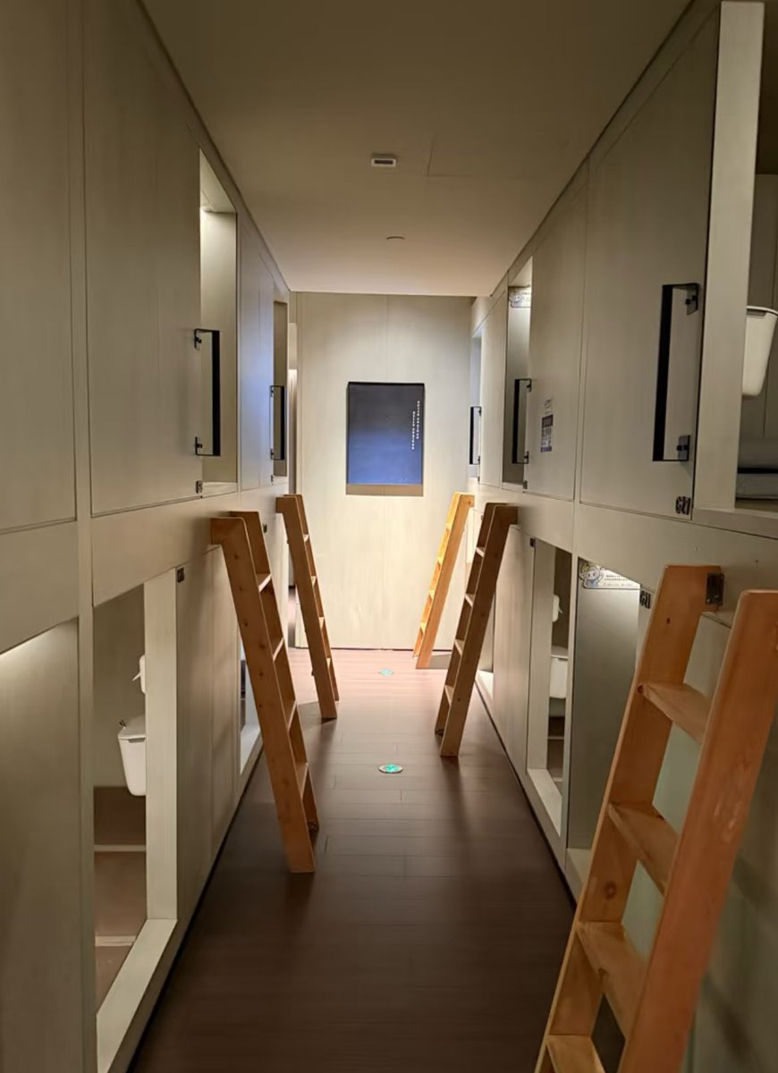 海棠夫人 tweet media