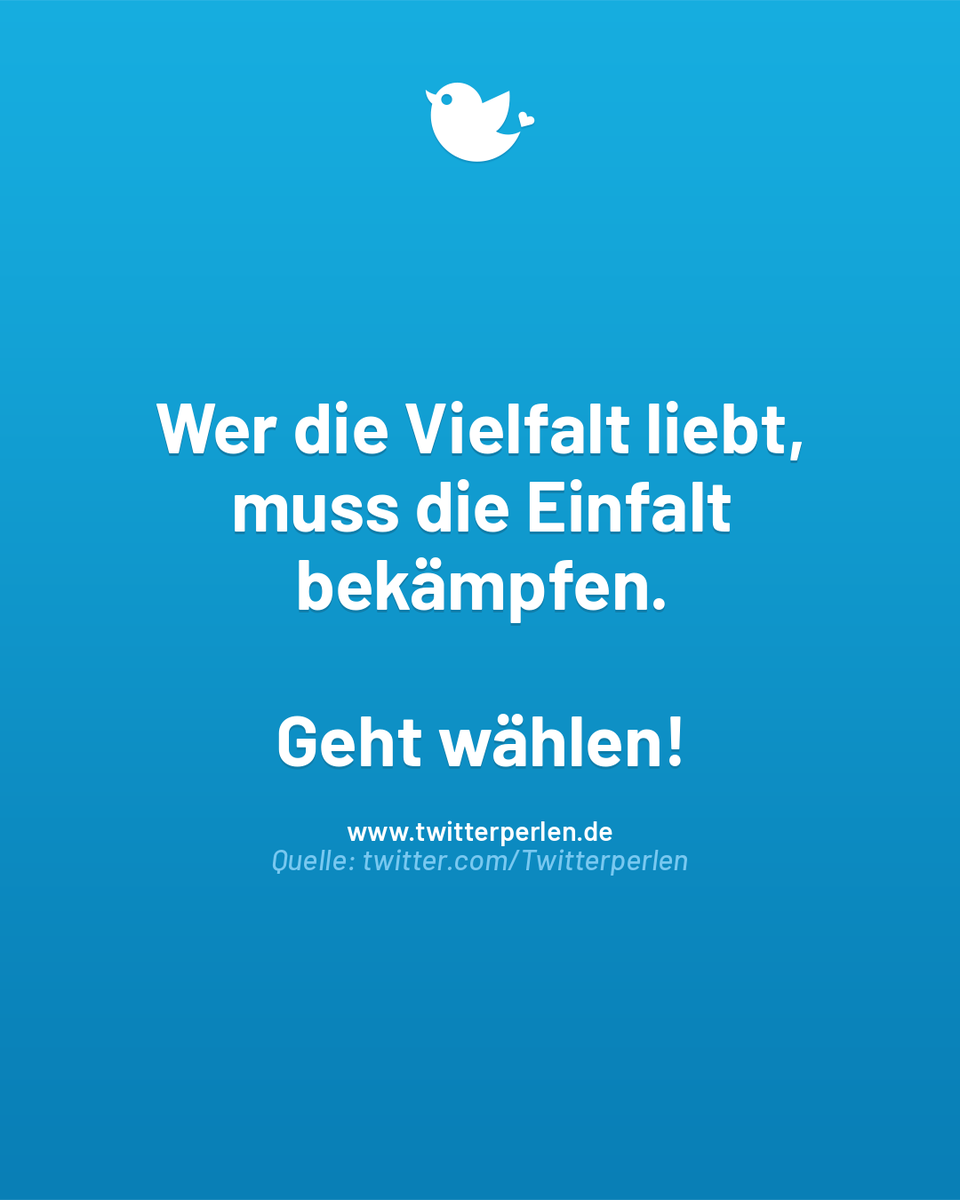 Aus aktuellem Anlass! ✌️ 

#btw25 #wirsindmehr