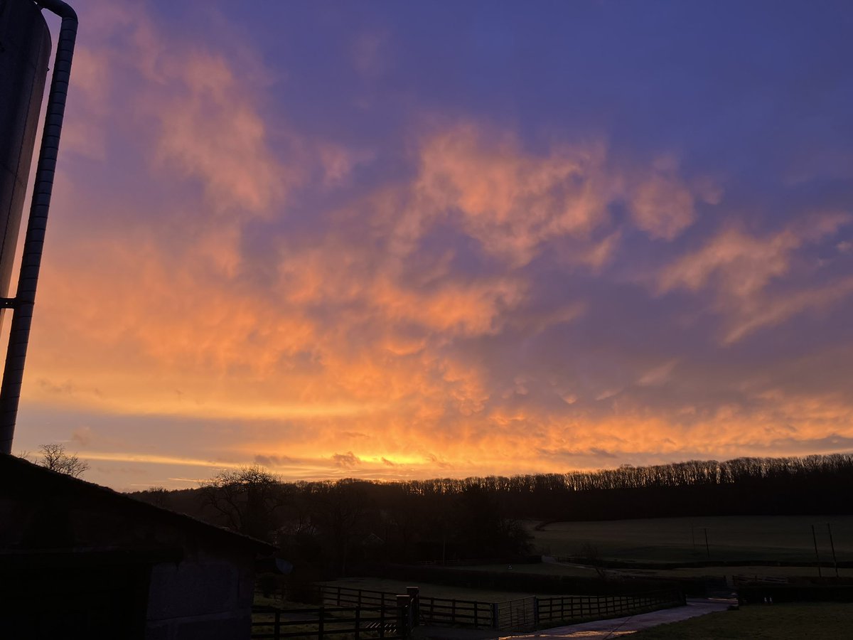 Sunday Morning  beauty in nature