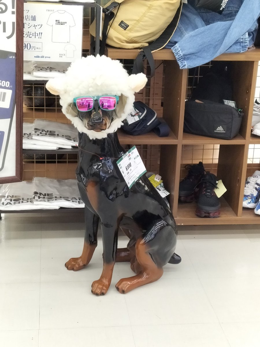 雪にも負けず、今日も元気に営業してます🐶皆様のご来店、お待ちしております🐶