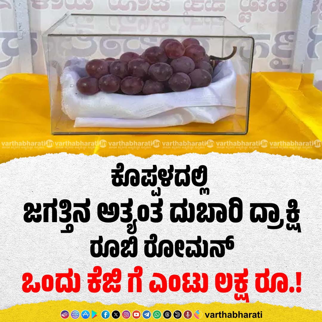 varthabharati's tweet photo. ಕೊಪ್ಪಳದಲ್ಲಿ ಜಗತ್ತಿನ ಅತ್ಯಂತ ದುಬಾರಿ ದ್ರಾಕ್ಷಿ ರೂಬಿ ರೋಮನ್
► ಒಂದು ಕೆಜಿ ಗೆ ಎಂಟು ಲಕ್ಷ ರೂ.!
Read More here: https://t.co/IJGTwN1nv2
#RubyRoman #Grapes https://t.co/L0mweKVQm0