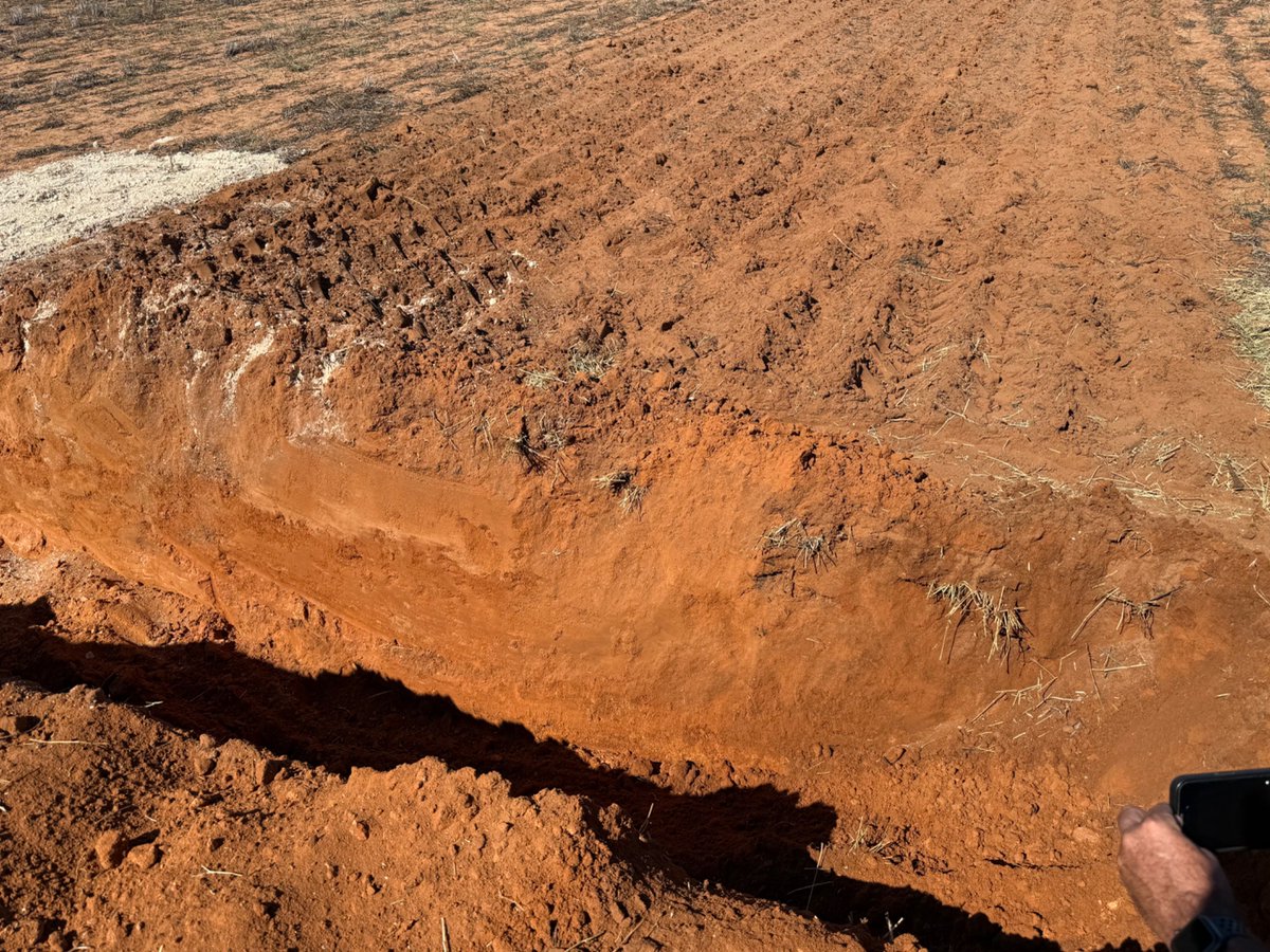 Jock McNeil (@jock_mcneil) on Twitter photo 🟥Horsch Tiger MT🟥 Information & Live demo day tomorrow 24/2
1-5pm.
<a href="/Mel_Fraser1/">Mel Fraser</a> will be in the Soil pits from 2pm! Plenty to Learn and see. <a href="/muddyriver_ag/">Muddy River</a>
maps.app.goo.gl/LJFP7C55zUUk7e… 🟥Horsch Tiger MT🟥 Information & Live demo day tomorrow 24/2
1-5pm.
<a href="/Mel_Fraser1/">Mel Fraser</a> will be in the Soil pits from 2pm! Plenty to Learn and see. <a href="/muddyriver_ag/">Muddy River</a>
maps.app.goo.gl/LJFP7C55zUUk7e…