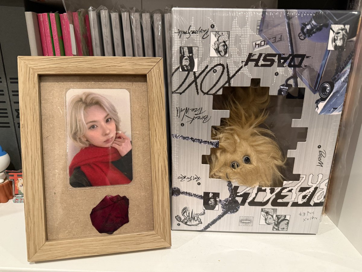 로이 Roy tweet media