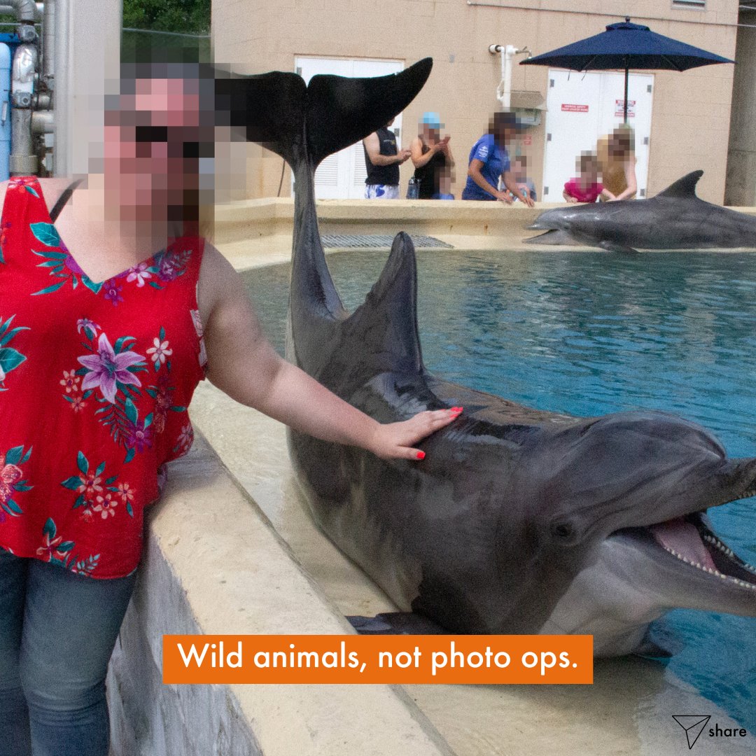 📢 SHARE to spread awareness ahead of March Break!

Seeing animals in their natural habitat &gt; any attraction where you interact up close and personal with wild animals. Just a little reminder as folks are finalizing March break travel plans 🧡