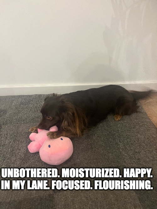 So far so good, Stoney seems happy.