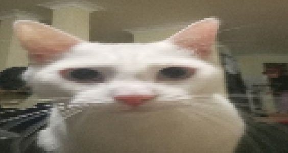 میتونم نقاشی بکشم و استریم بزنم 
میتونم درس بخونم و استریم بزنم 
میتونم بخوابم و استریم بزنم