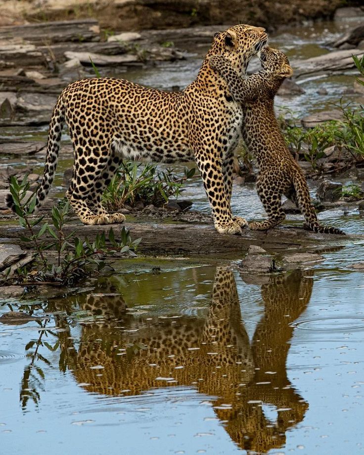 vivaneil (@vivaneil1234) on Twitter photo 