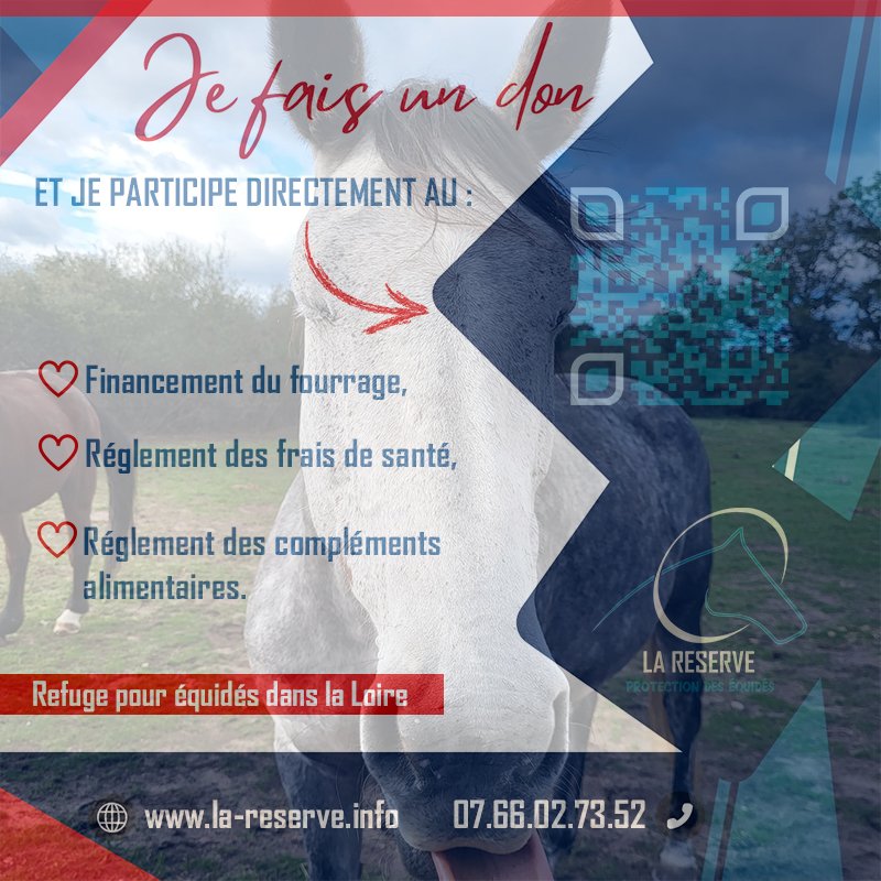 AssoLaReserve's tweet photo. #refugeequin - FAIRE UN DON pour AGIR en faveur des équidés !
100% des refuges pour animaux en France sont privés et donc financés exclusivement par des particuliers, des entreprises ou mécènes.
JE VOUS SOUTIENS :
https://t.co/T8mbkllW46
🙏 MERCI de votre confiance ! https://t.co/Ee307RbFBO