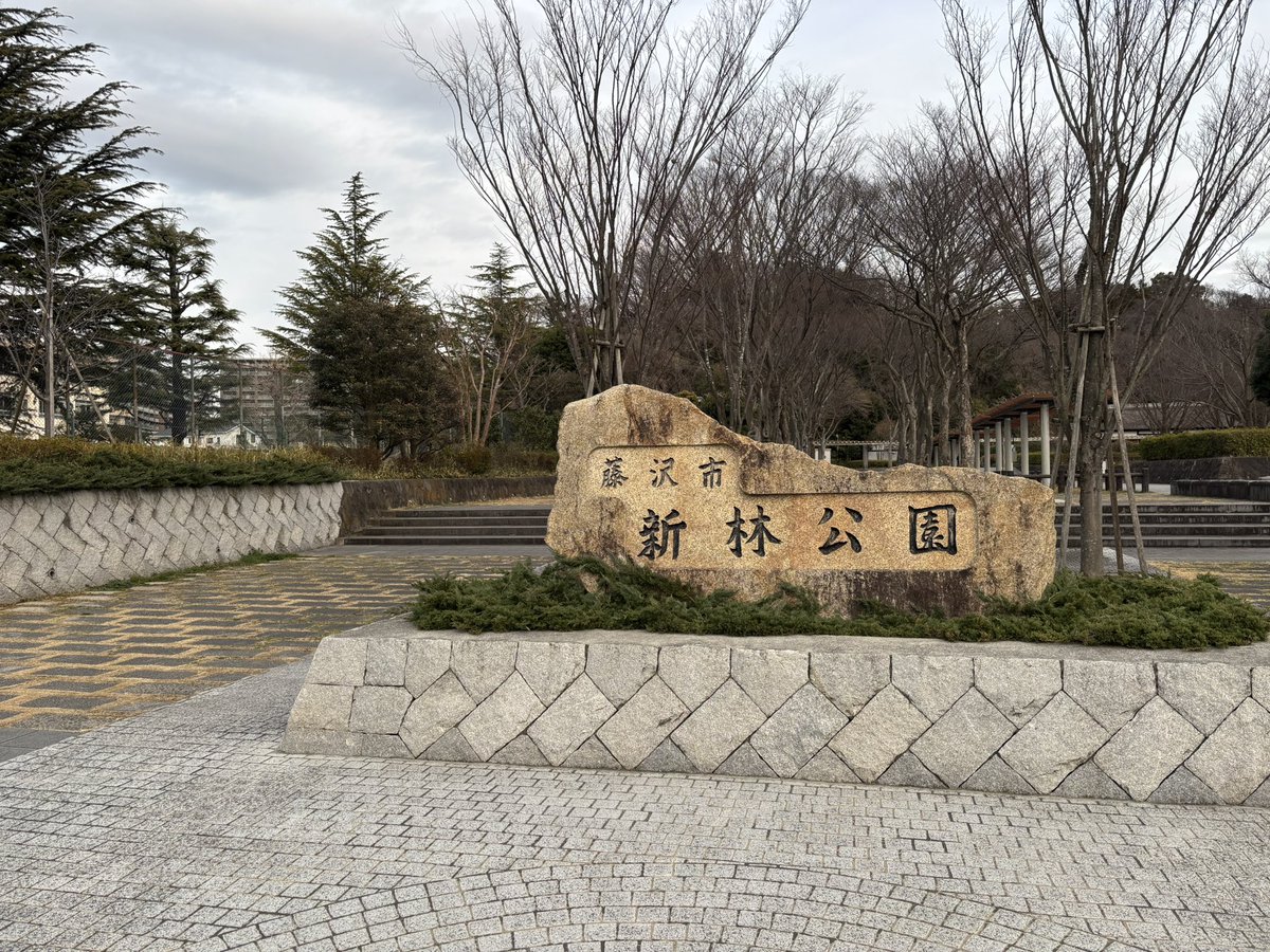 konie060's tweet photo. 藤沢市の「新林公園」今は梅の花がきれいな季節🌸大きな公園でプチハイキングもできます🥾天気が良いと展望台から富士山と海が見えます🗻りすに会えることも🐿️#新林公園 https://t.co/3fIepP9yIO