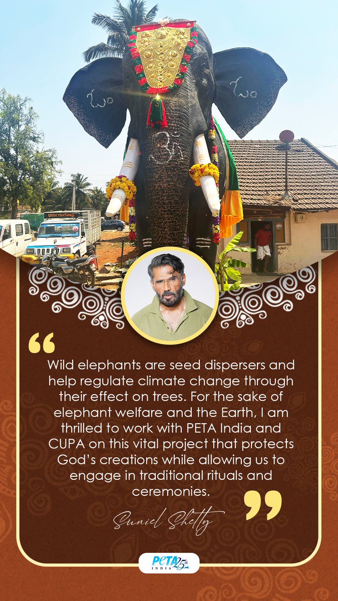 PetaIndia's tweet photo. 🐘💚 A new era of kindness begins with Umamaheshwara!
Thank you, @SunielVShetty for supporting this cruelty-free initiative to protect real elephants.
Thank you @CupaIndia for your support. And thank you #ThackerseyFoundation for making all this possible.🌿
#Offish
#ShriUmamaheshwaraVeerabhadreshwara Temple
#MechanicalElephant #RoboticUmamaheshwara #SunielShetty
