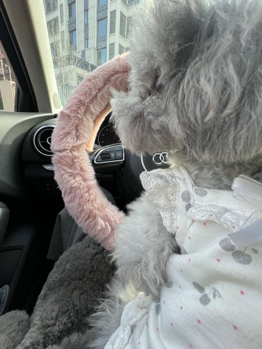 注意を集中して、安全運転してください。