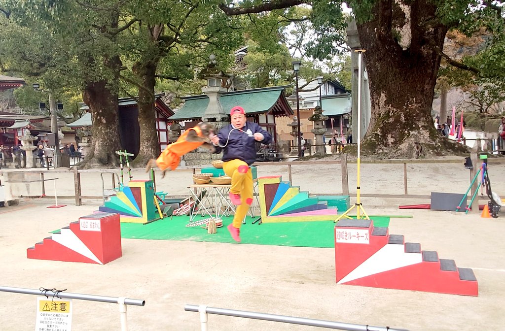 太宰府天満宮で遅咲きルーキーズっていう猿の大道芸があって旅先で