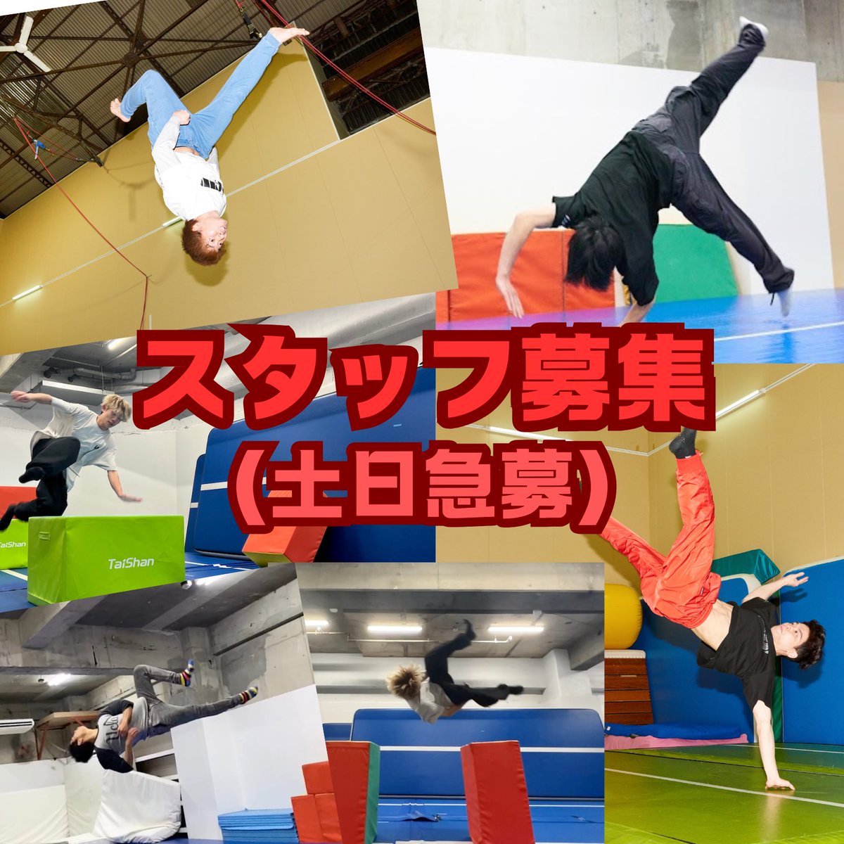 acrowhite2's tweet photo. 急募‼️【土日スタッフ募集】

現在アクロバットジムホワイト、
および系列店W NIHONBASHIでは
土曜日・日曜日に一緒に働いてくれるアルバイトスタッフを募集しております。 https://t.co/UdADGMvCJF