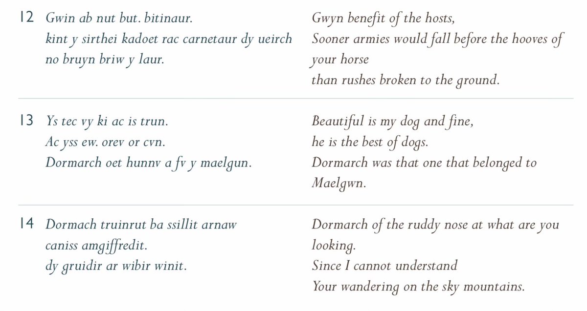 //Gwyn: look at my dog