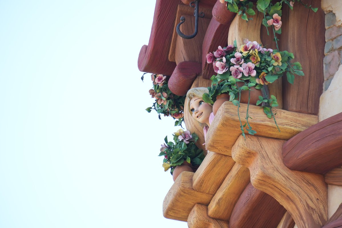 ParadiseProject's tweet image. 東京ディズニーシー

金の髪が風に舞い、塔の夢が花開く。

#写真好きな人と繋がりたい
#写真撮っている人と繋がりたい
#カメラ好きな人と繋がりたい 
#ファンタジースプリングス
#東京ディズニーシー 
#ラプンチェル