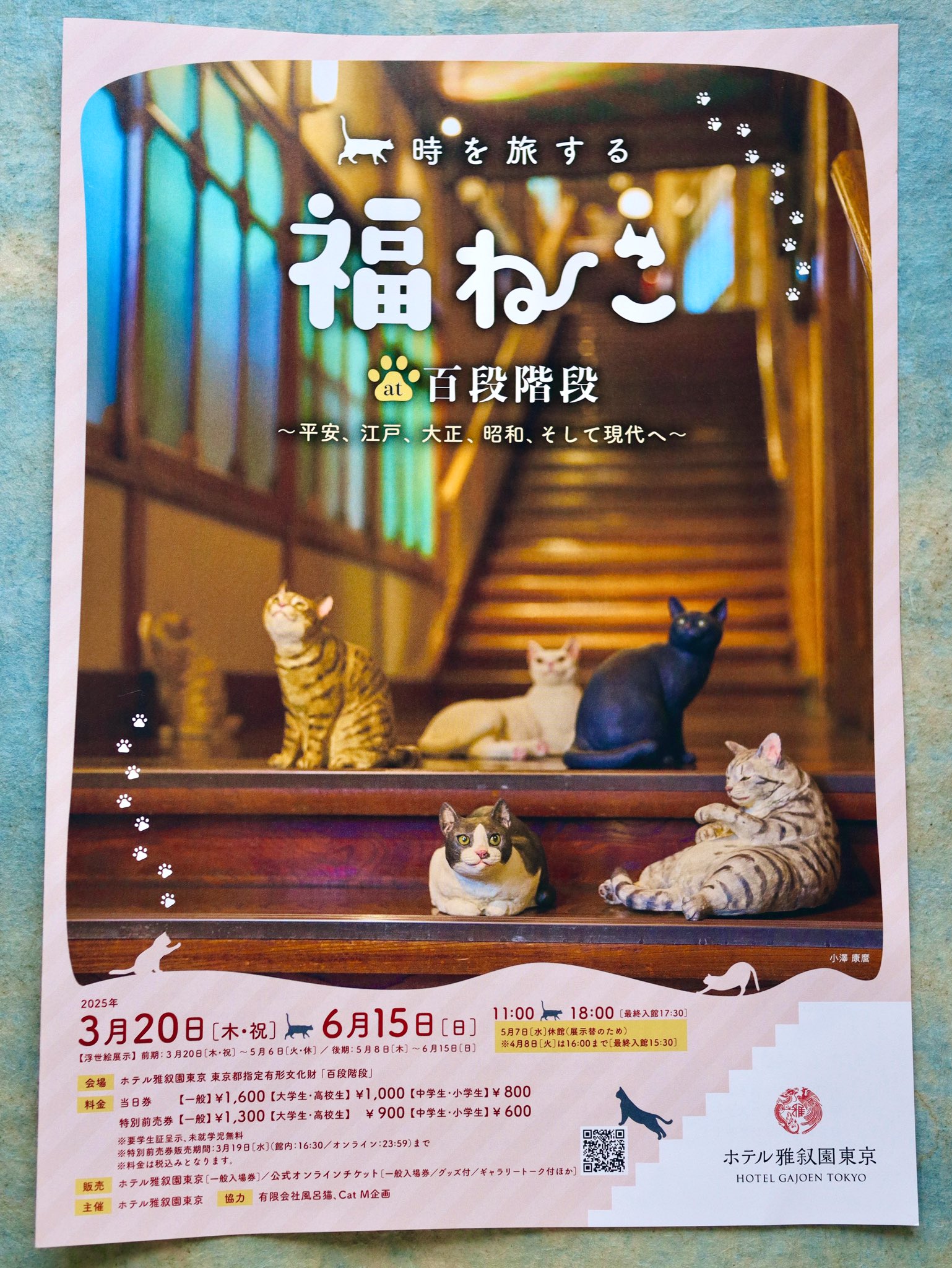 松本浩子𓃠百々猫堂 on X: 
