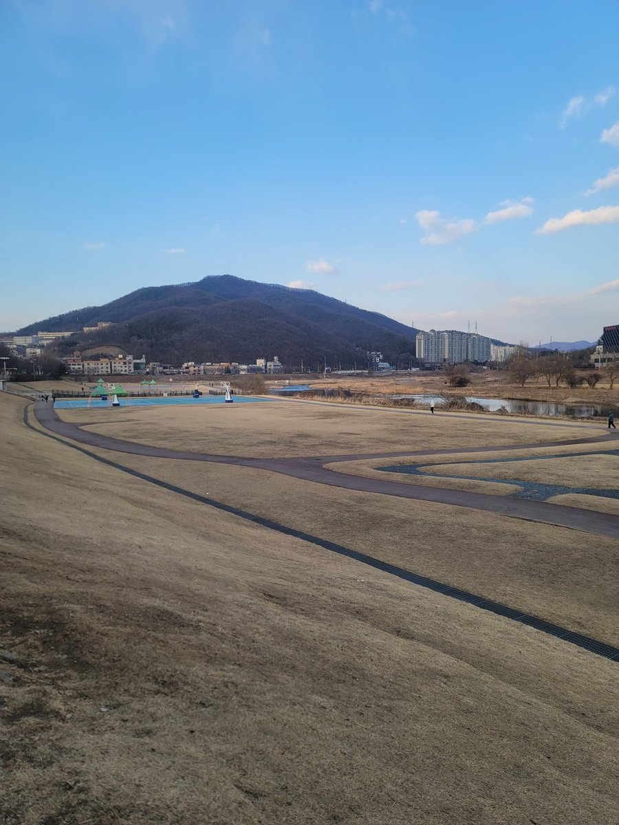 기오지라디 tweet media