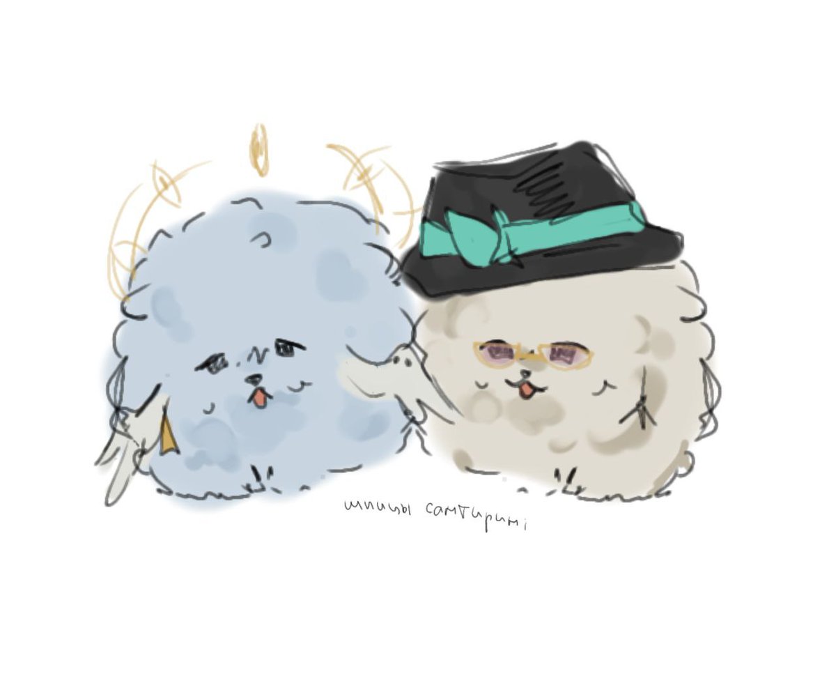 Lottyarra's tweet image. 🐾
#sunturine #avenday #hsr