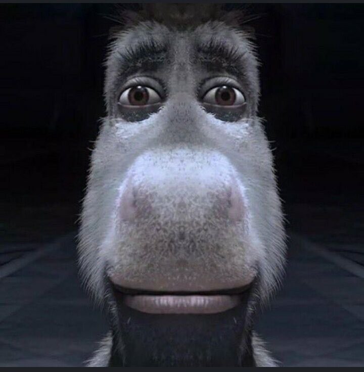 สีหน้ากุตอนเห็นคนบ่นคริ้นจ์เยอะมาก แต่กุกับเพื่อนพูดแบบนี้กันในชีวิตประจำวันจริงๆ