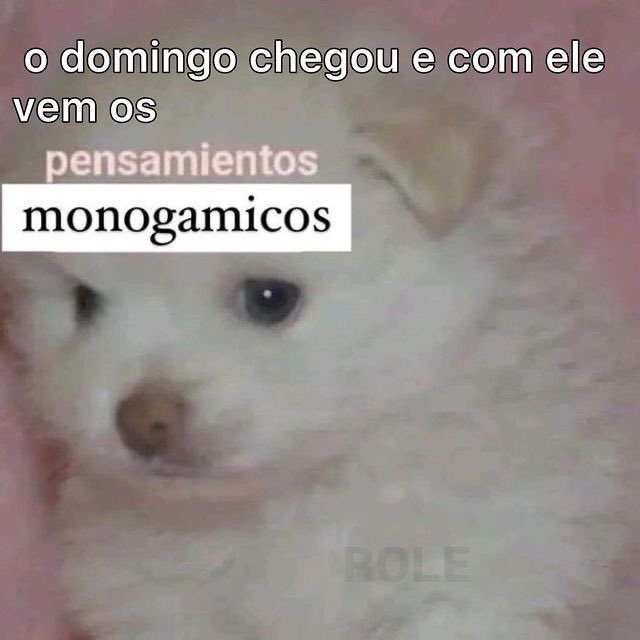 ᅟᅟ𖤐𝖛𝖆𝖒𝖕𝖎𝖗𝖊𖤐 (@vamp4ire) on Twitter photo 