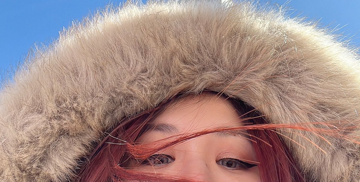 Es wurde keine AfD gewählt. 🗳️