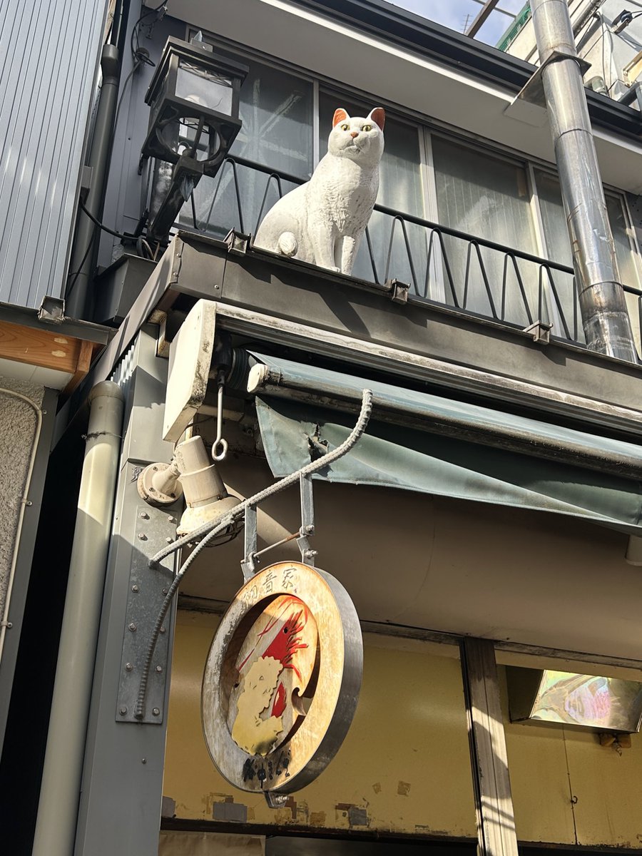 9parakiss's tweet photo. today i walked around tokyo's cat town, yanaka https://t.co/vPsrxOnJiK