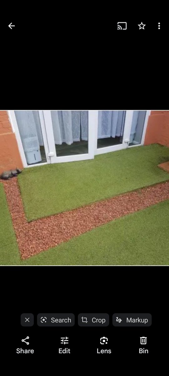 How is this legal or even sensible? Our environment is already polluted with plastics, and insects, birds, beetles etc decreasing in numbers. Please help stop the use of unnecessary plastics.