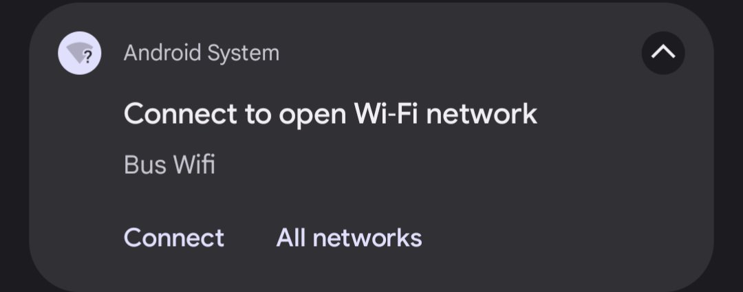 Something nice about this. No fucking around; no 'SuperBus First Customer WiFi Comp'. You're on the bus? You want WiFi? Bus WiFi, click it dickhead. It won't work though. Of course not, you're on the bus.