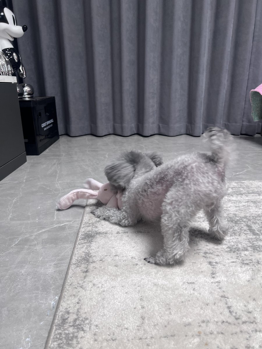 新しいおもちゃの楽しさ、おばさんたち誰かわかる？