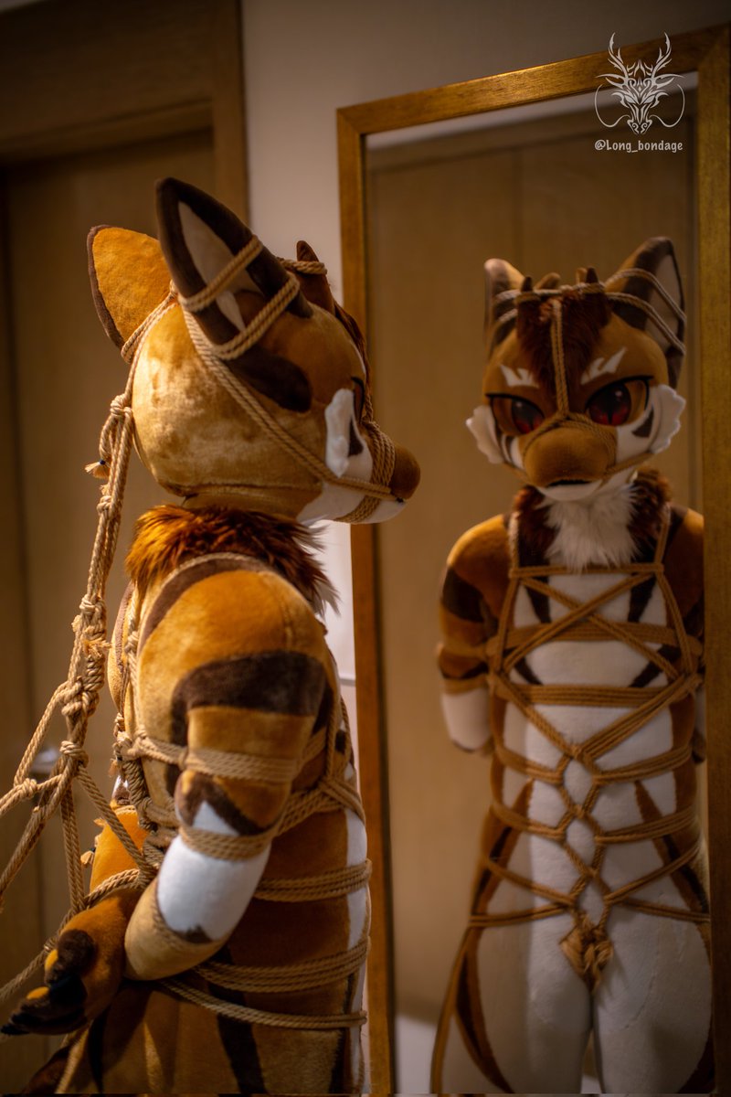 记一次相机摄影～重制版
🪢<a href="/Long_bondage/">龍绳</a>
FURSUIT：<a href="/XPH38222894/">破虎</a>