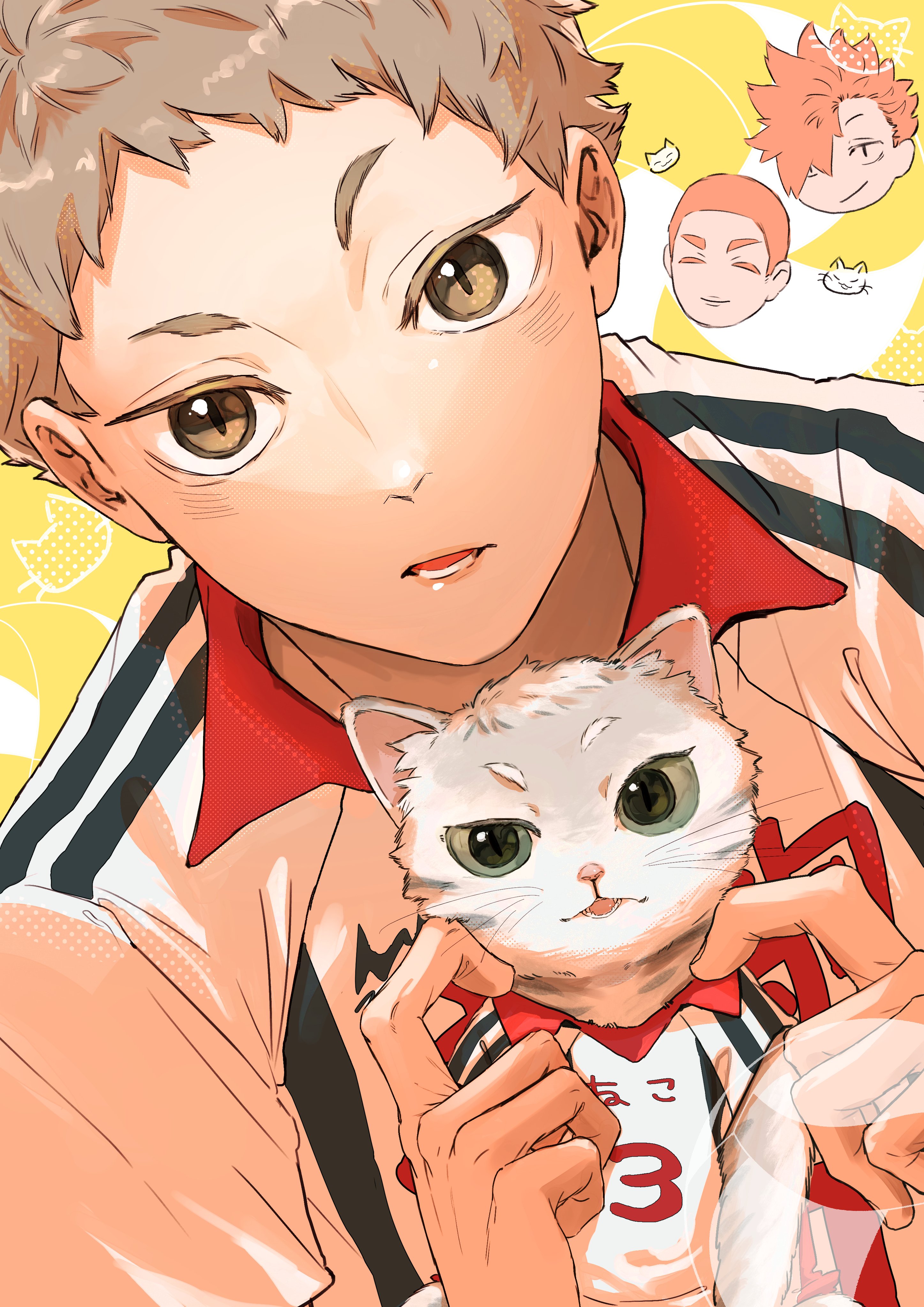 🐈猫巻しじま🦍 (@shijima315) / X 🐈猫巻しじま🦍 (@shijima315) / X