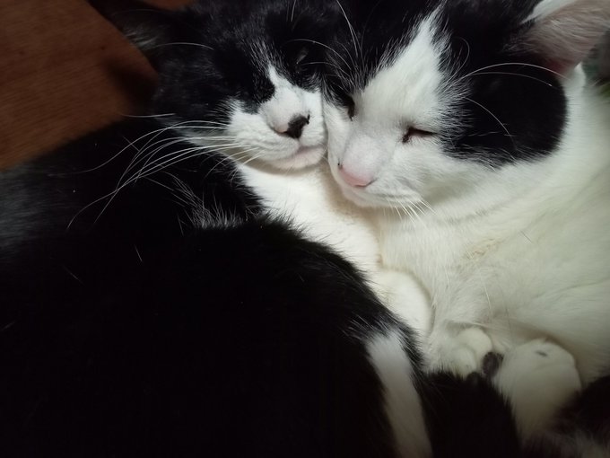 ๆฐไปใใใ็ซใฎๆฅ็ตใใฃใฆใ