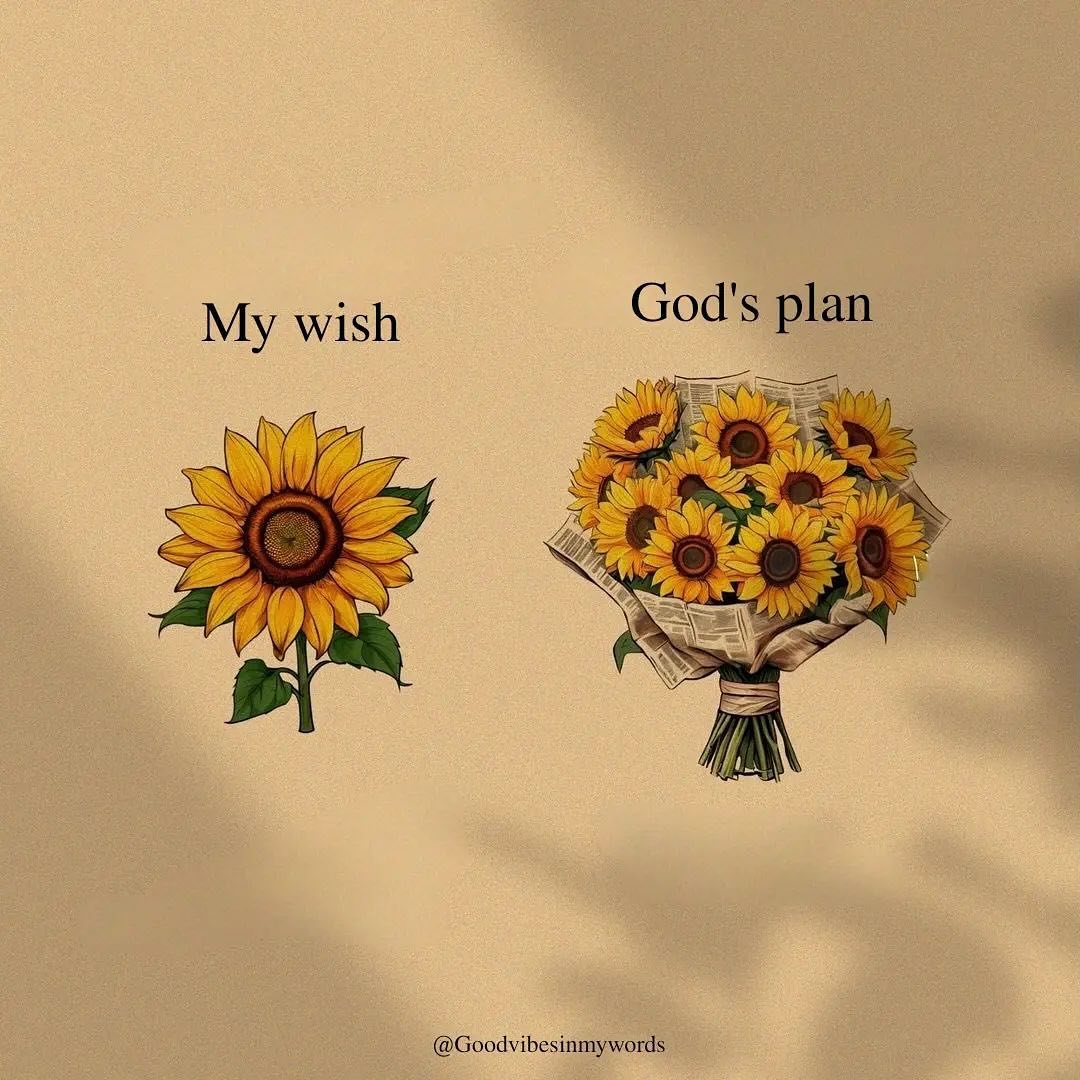 successmoverss's tweet image. 12 Powerful Visuals That Will Challenge Your Perspective
01.