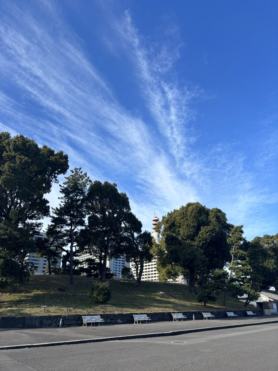 aoaomomoing tweet picture