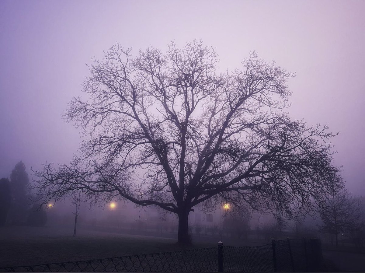 you need to lose your mind to get back to the light, sometimes ….. #forbiddenroad