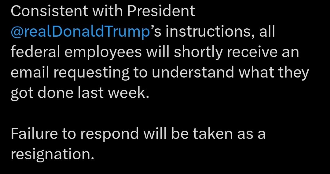 handle.fi (42,🦍) 🟨🦇🔊 tweet media