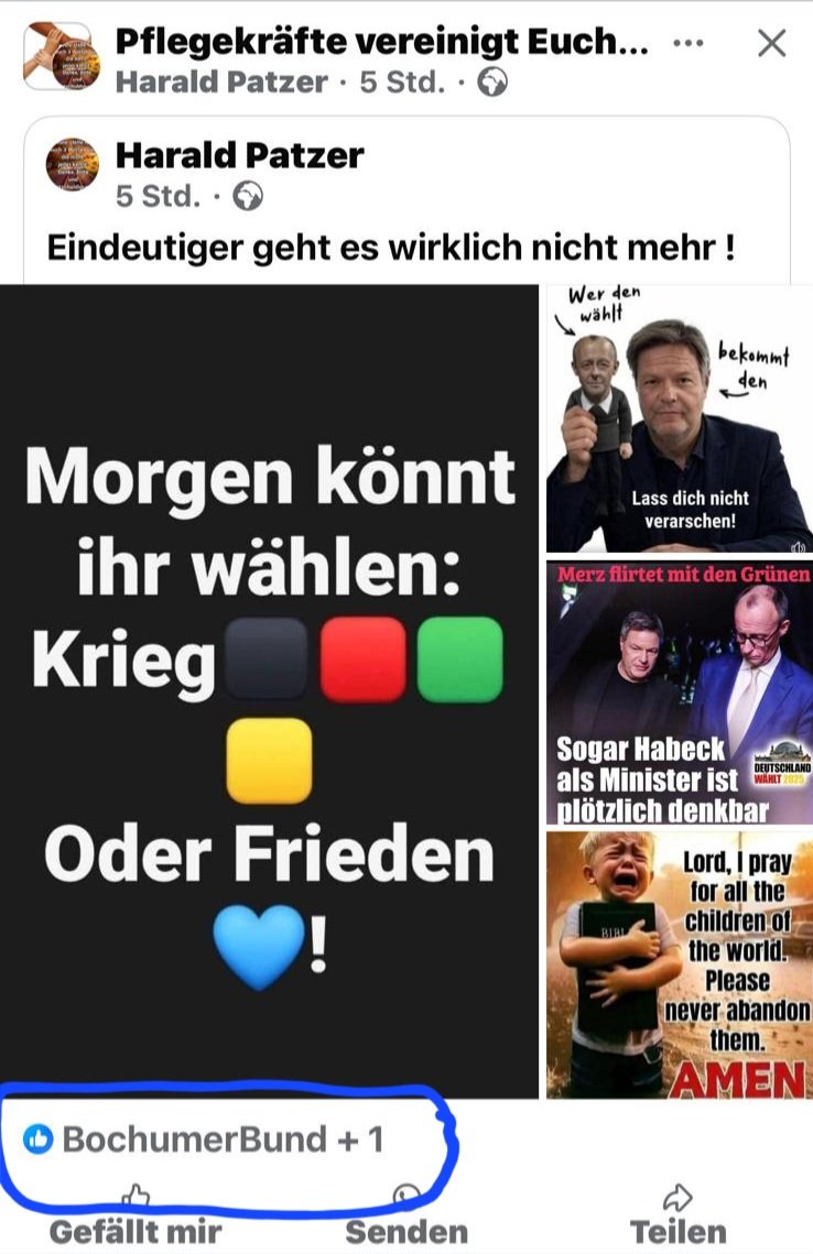 Pflegetyp's tweet photo. @rechtsdepesche Der Bochumer Bund liked bei Facebook Post,die zum Aufruf zum wählen der AFD steht. https://t.co/hH45TTEzye