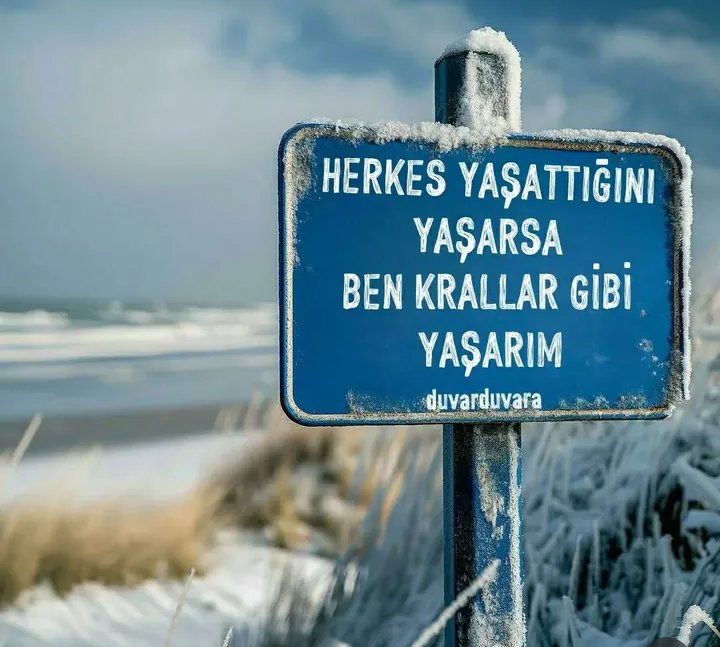 çıkmaz sokak (@olmazdaolursa) on Twitter photo 