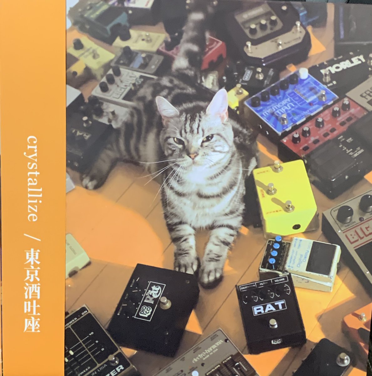 【Re-announcement】
1st Album
「crystallize」 
Infree Records(Hong Kong)
IF004-LP

12inch180g Limited clear vinyl

Thank You SOLD OUT!!
#tokyoshoegazer
#東京酒吐座